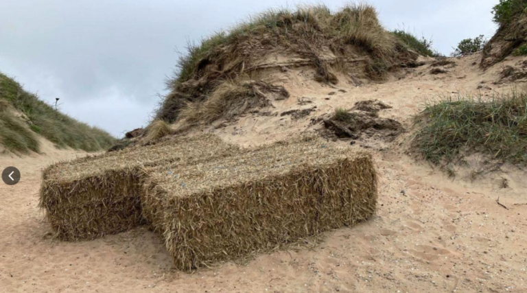 Nyhets inlägg Skreastrand Våren 2024